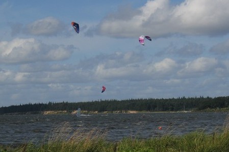 Schlei-Kitesurfer